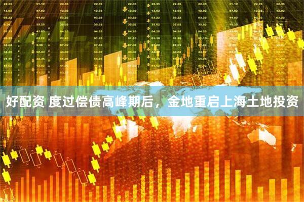 好配资 度过偿债高峰期后，金地重启上海土地投资