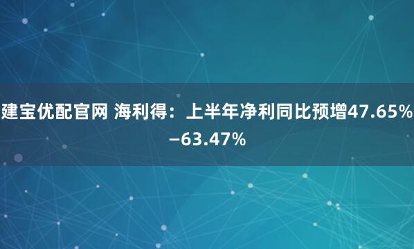 建宝优配官网 海利得：上半年净利同比预增47.65%—63.47%